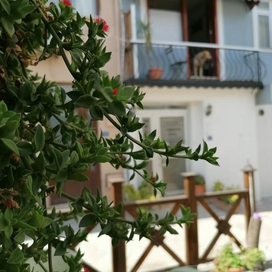 Hotel Муданья Экстерьер фото